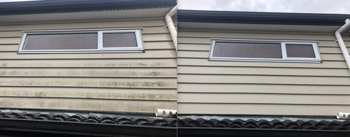 House washing Auckland and Pro Wash and Water Blasting Auckland 