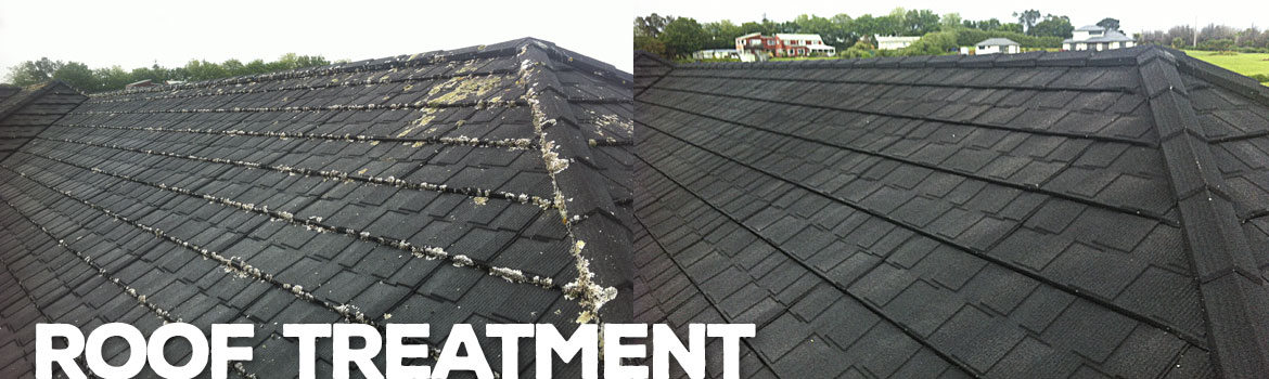 RoofTreatment