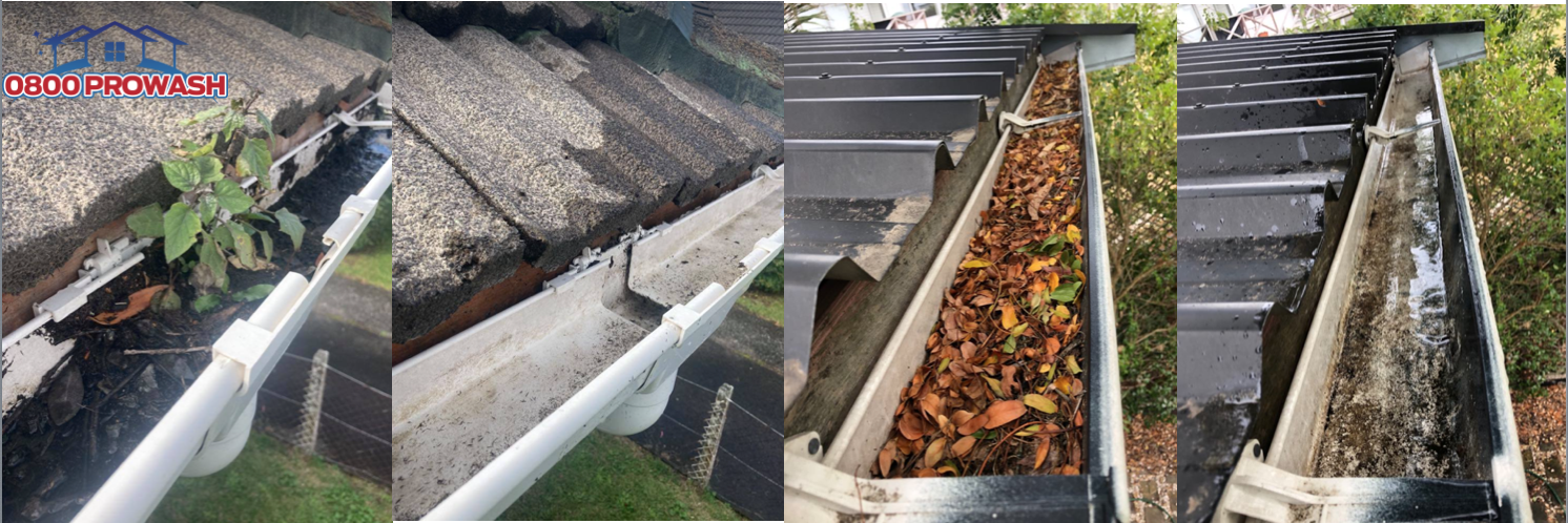 Gutter cleaning time 